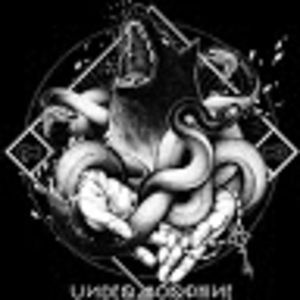 Meet your Posher, Isaiah